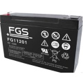 FGS | Fiamm FG11201