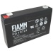 Fiamm | FGS FG10721